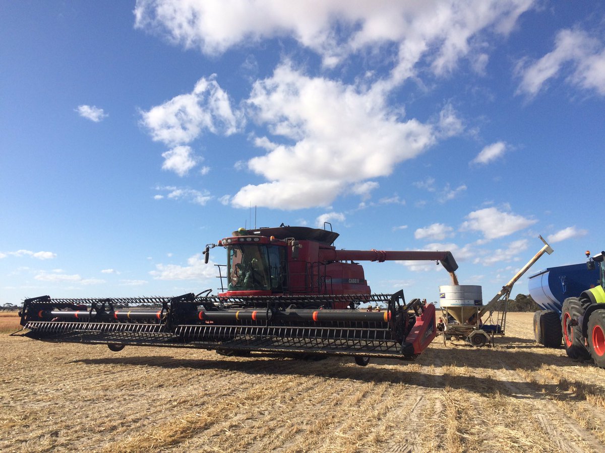 SEPWA_ag's tweet photo. The first #oat variety trial was harvested in #grasspatch @Sharp3107 https://t.co/QixcRV3DzR