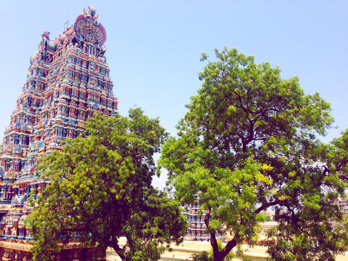 travelingtruth's tweet photo. More temples in India - Madurai https://t.co/Boxnt56r9g #travel #tblogger https://t.co/Te15mESUkC