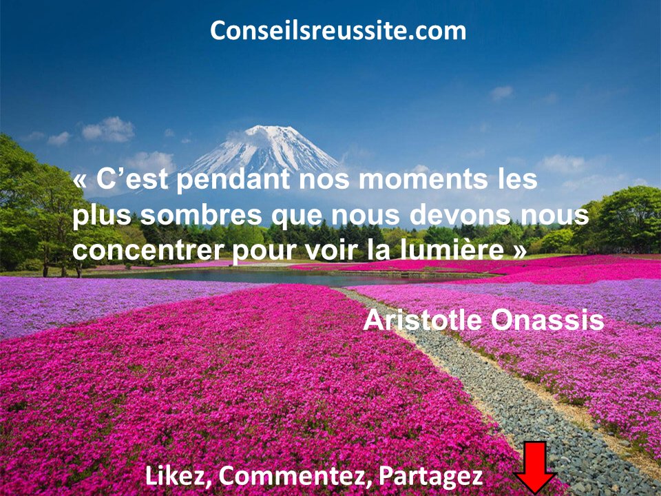 Conseils Réussite tweet media