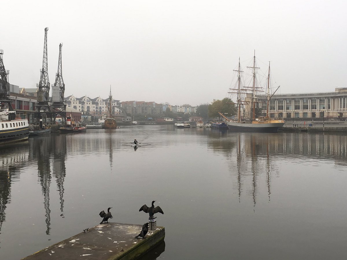 And the #bristol cormorants said "spread your wings" #mondaymotivation