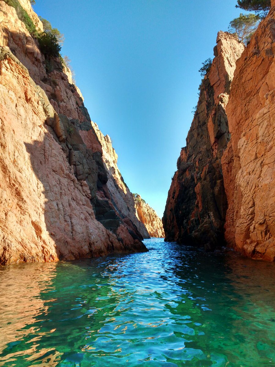 Ignasi Marimon-Clos tweet media