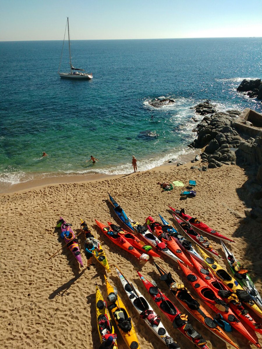 Ignasi Marimon-Clos tweet media