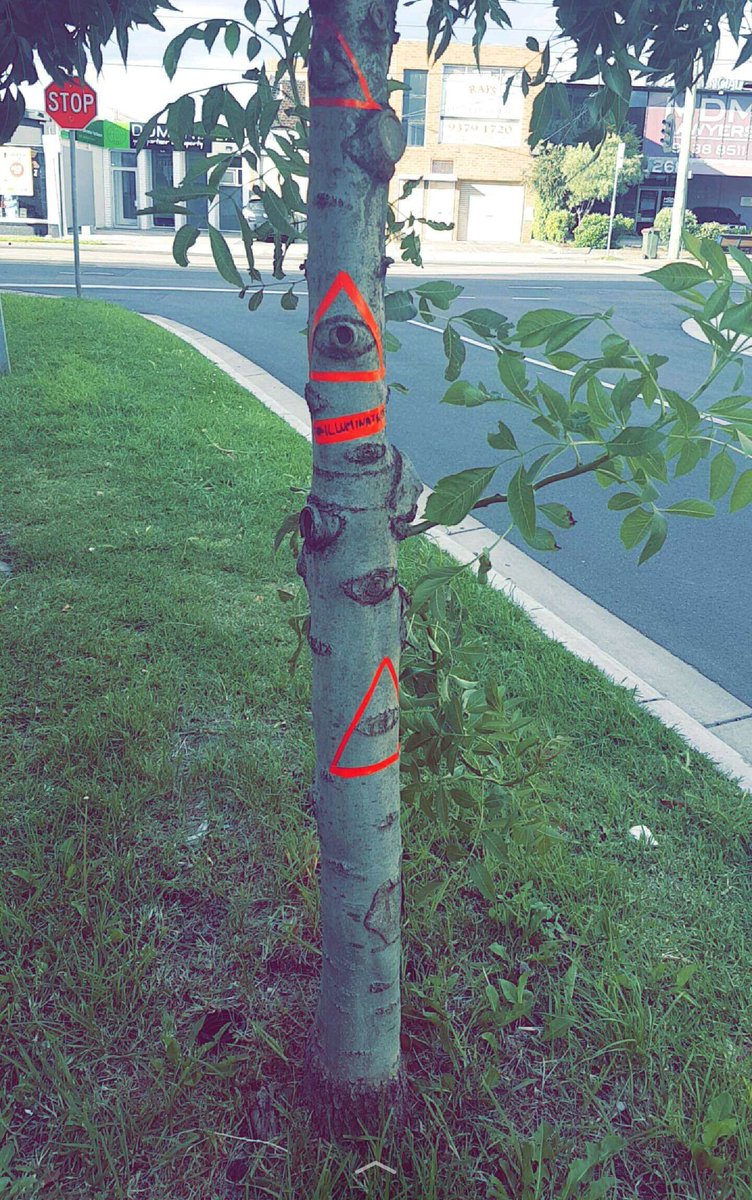 camplikethesoup's tweet photo. #illuminatree #illuminati #allknowingeye #conspiracy #halloween #pun https://t.co/GKQ81mlSI0