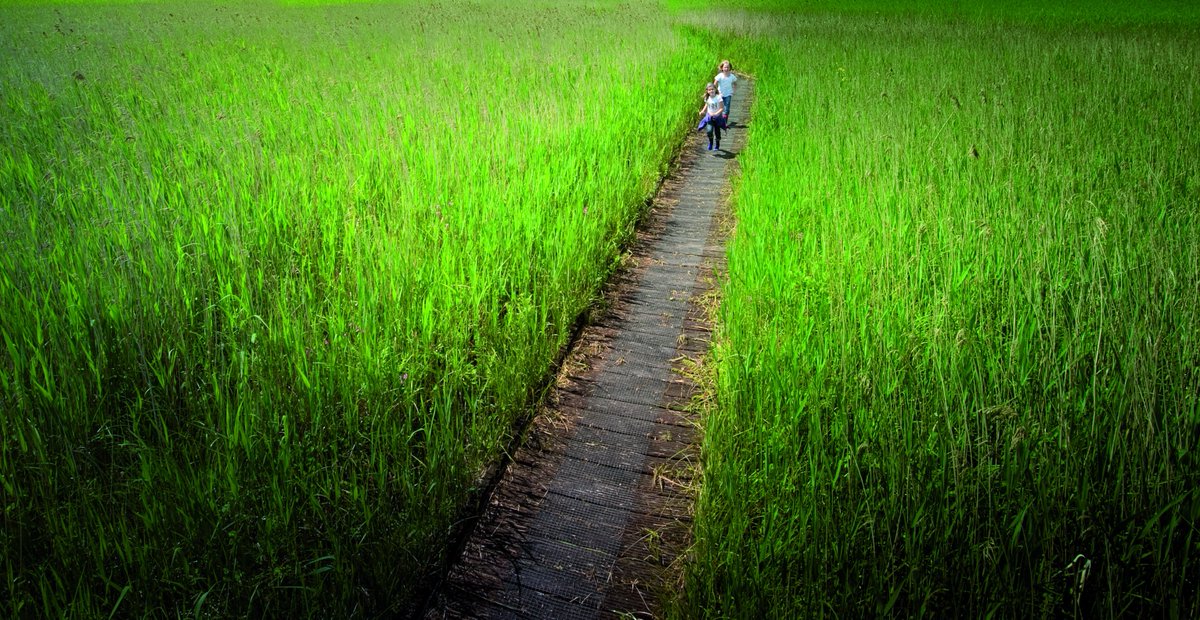 Laatste kans! Support je regio! Je kan nog tot 13:00 uur je stem uitbrengen via mooistenationaalpark.nl of SMS: Natuur 13 naar 1008. #NPWW