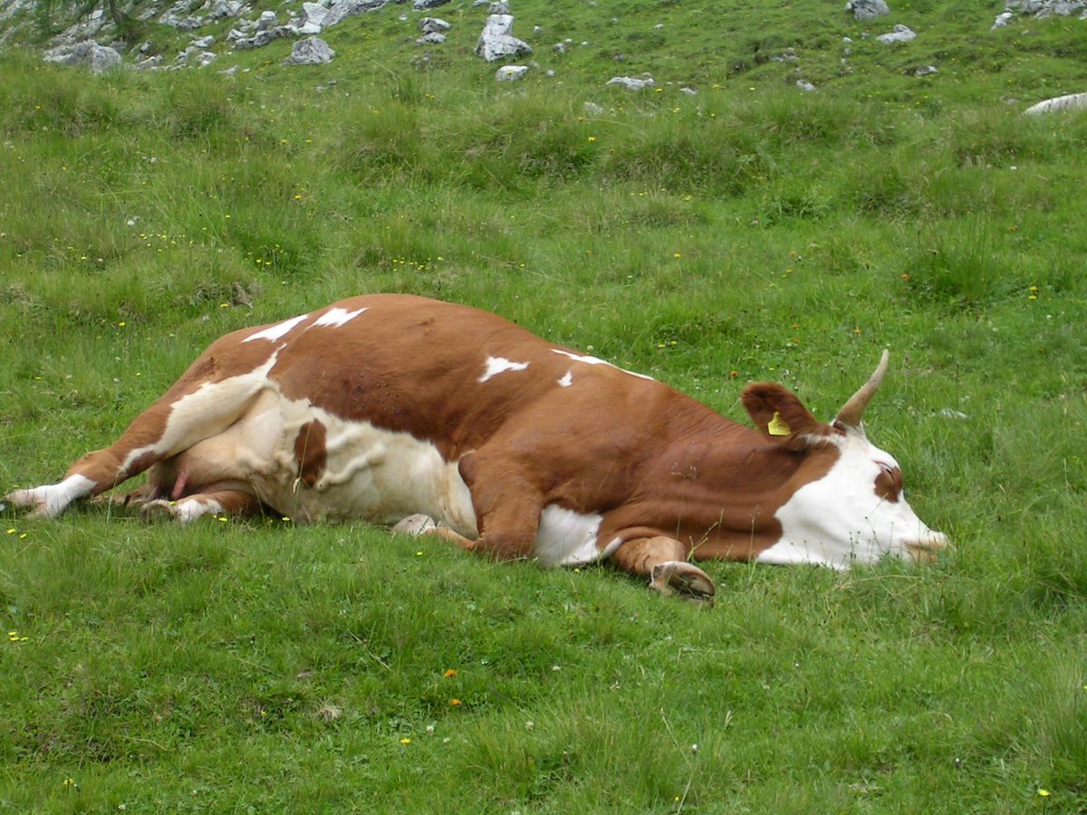 WMNLeeH's tweet photo. Happy Monday people anyone else feel like this today? @WMNDebbie @WMNClaire @WMNFarming @WMN_CJones https://t.co/mdLMUoOnXN