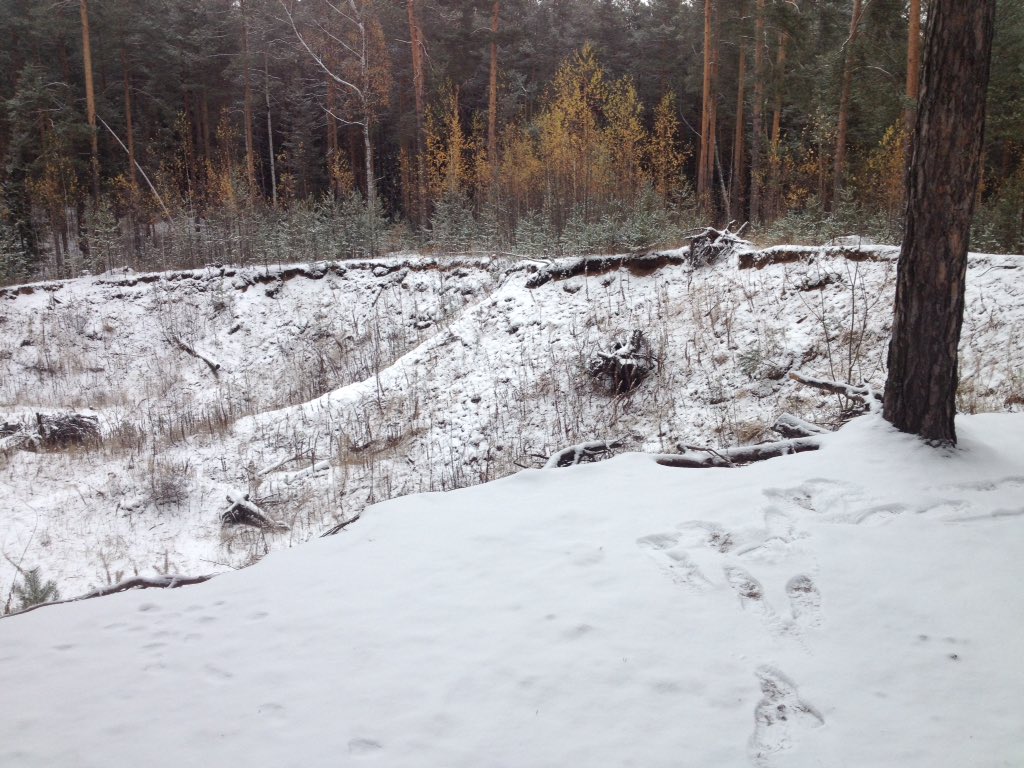 MikhoGvinepadze's tweet photo. Э, 93-я, признали местность?🌲🌳🌵🐲 https://t.co/VSs9OVrdiy