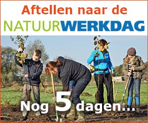 LandschappenNL's tweet image. Het aftellen naar de #Natuurwerkdag 2016 is begonnen! Inmiddels al ruim 530 locaties en 8100 deelnemers. Ga naar: natuurwerkdag.nl