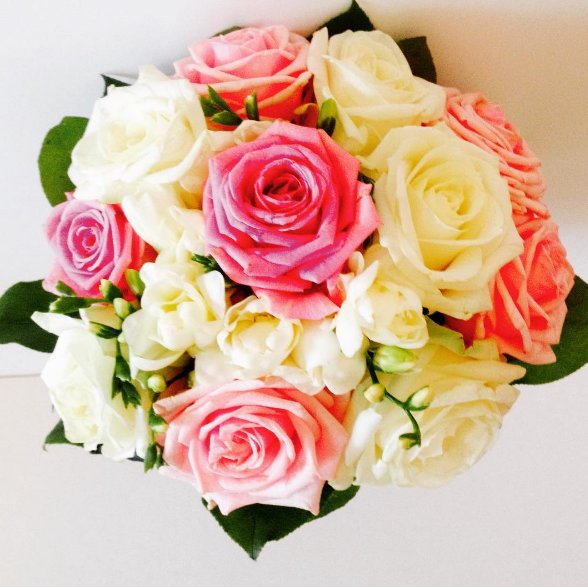 nationalwedding's tweet photo. Beautiful blooming bridesmaids bouquets from #VioletsRBlue! https://t.co/6g8qeo1euT