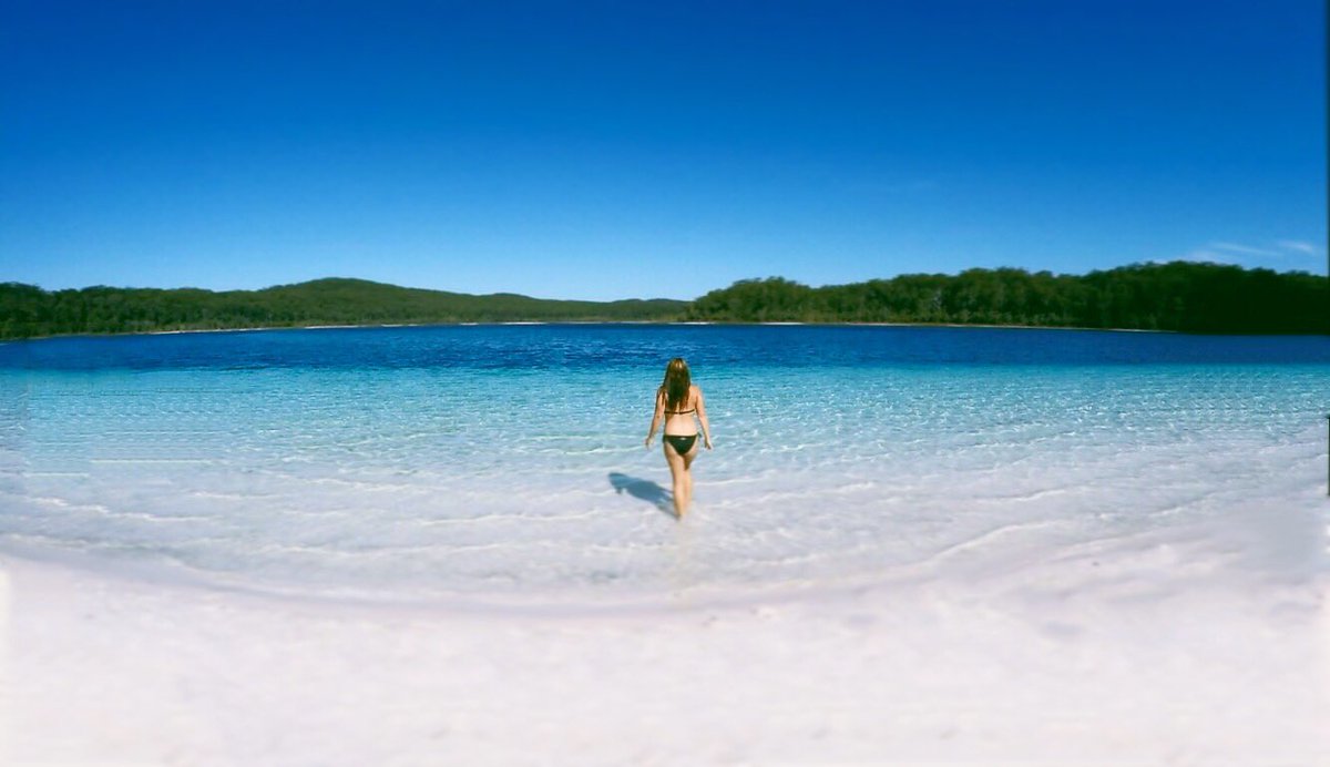 LifeAholica's tweet photo. Fraser Island hat den wohl schönsten See der Welt! Karibik? 💕 #australia #fraserisland #lakemckenzie #postcardmoment https://t.co/fil70SmD3d