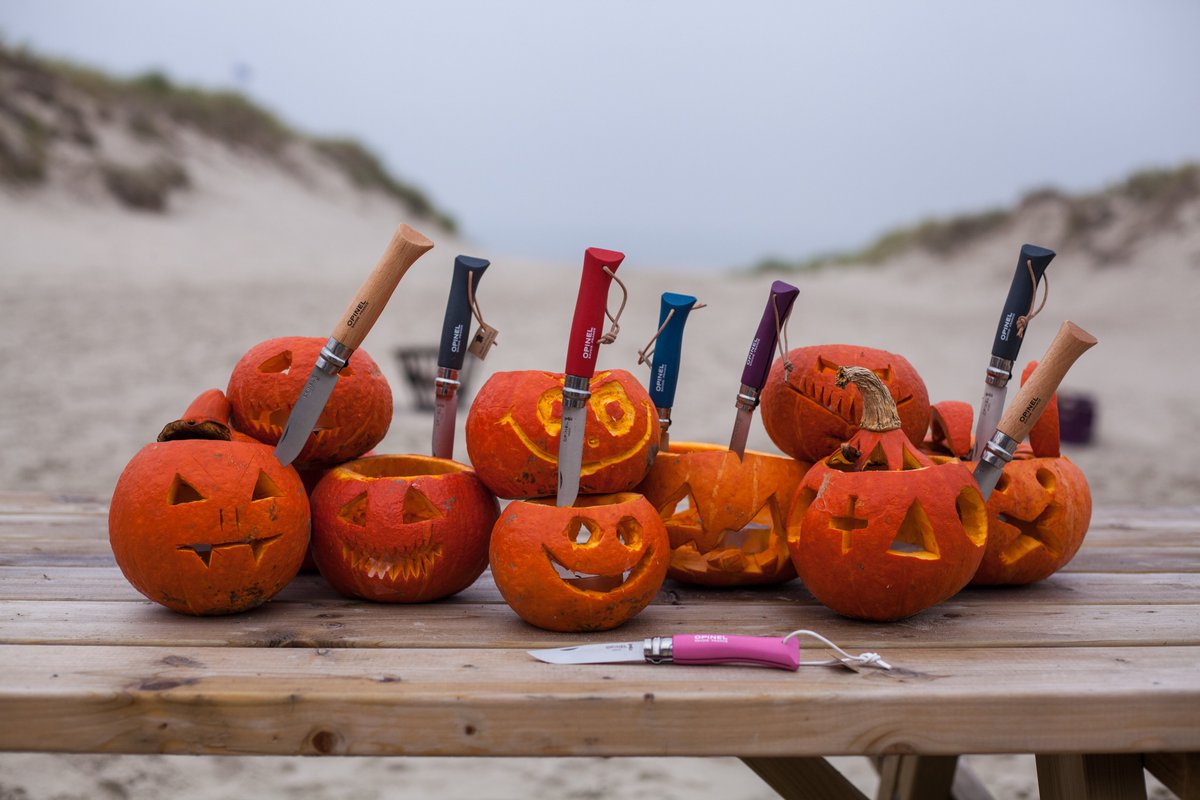 Homeij Business&Gear tweet media