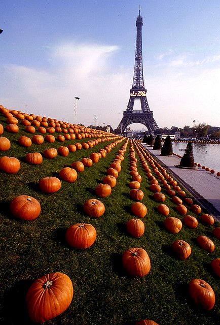 #HappyHalloween #Paris 🎃 En 1997, des #citrouilles sont installées dans les jardins du #Trocadero pour fêter #Halloween ! 🕸

© Hubert Marot