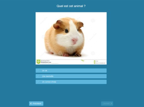 quizzyourself's tweet photo. Les images et les vidéos dans les questions, en avions-nous parlé ? Pas assez je pense ! Essayez donc pour voir :) #QuizzYourSelf https://t.co/uVZ8tzaok0