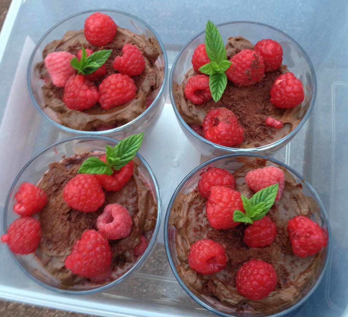 Provisioning, made no-sugar no-dairy choc mousses but didn't consider whether they would freeze until trip time <a href="/DeliciouslyElla/">Deliciously Ella</a>? #vanlife