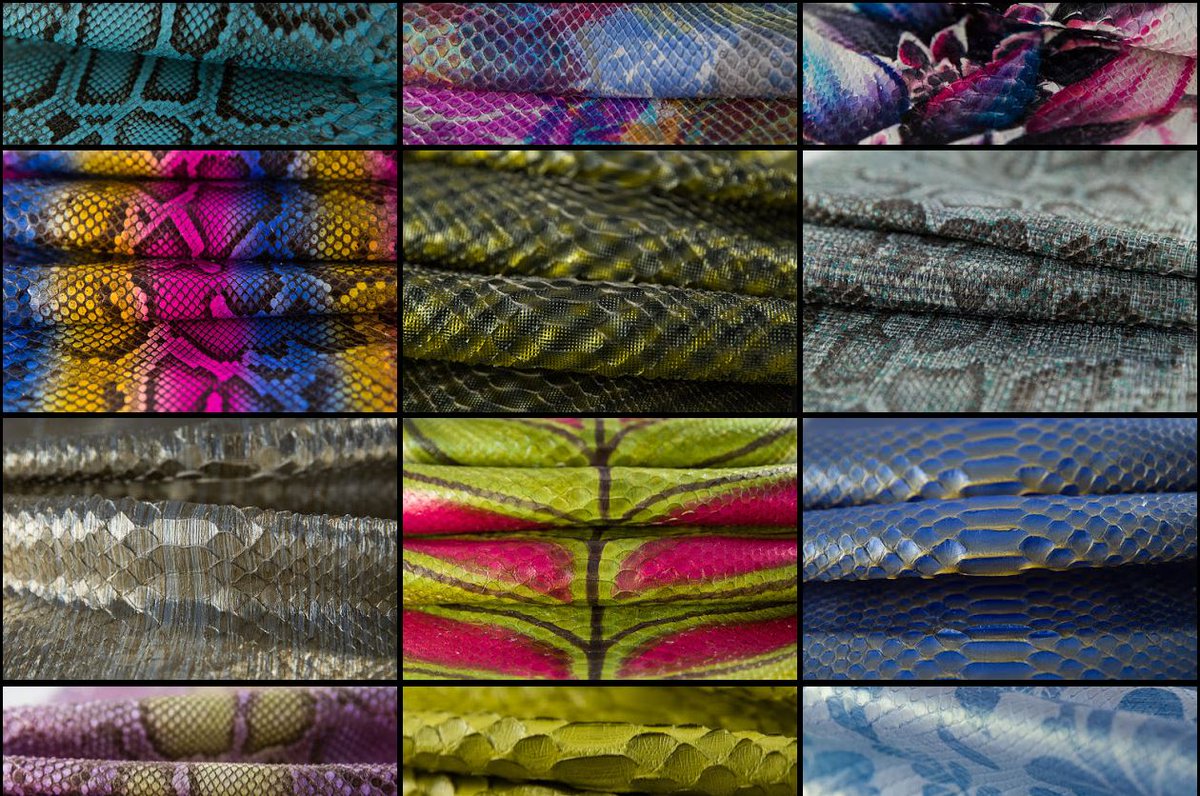 Caravelpelli's tweet photo. Python Molurus Leather
https://t.co/LSyr1drpSz
#PythonMolurusLeather #PythonMolurusSkin #ExoticLeather #Caravel https://t.co/jFog1SCGjV