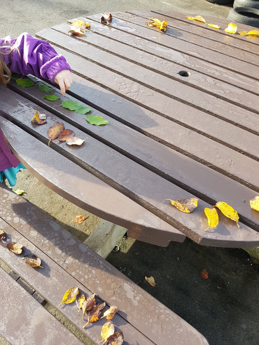 EYFS- counting each leaf in turn.