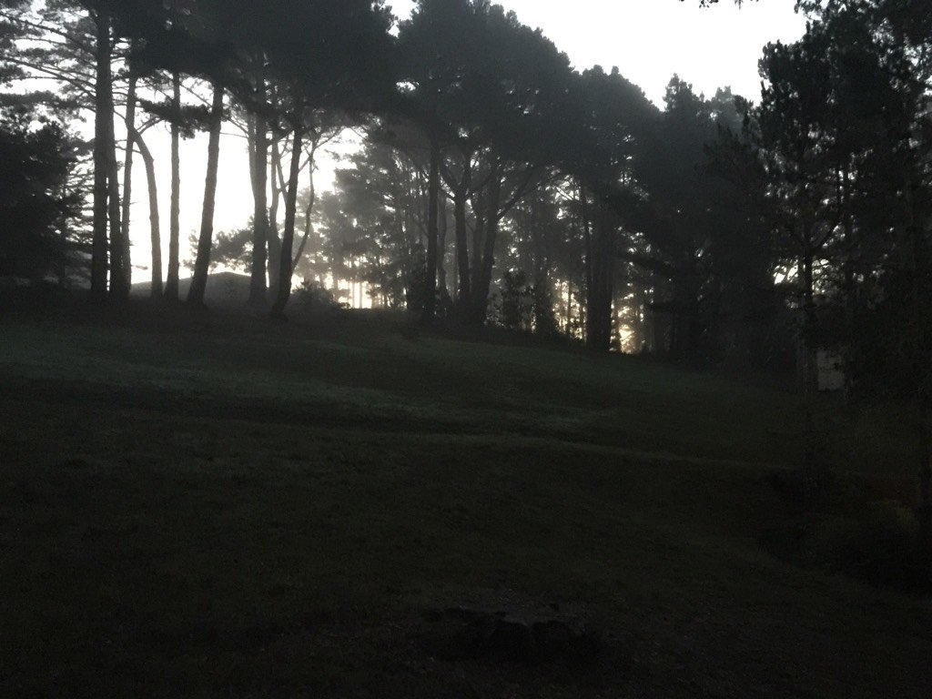 agilecoffee's tweet photo. Beautiful misty morning at @MarconiCenter. These next five days promise to amaze. #ACI2016 https://t.co/tvF86J8Kjj