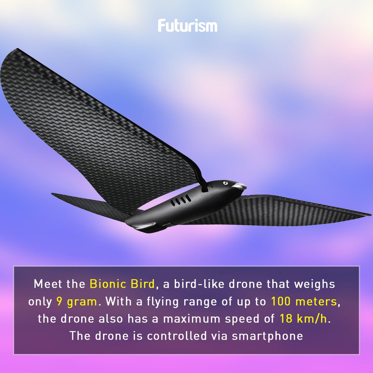 futurism's tweet image. #BionicBird