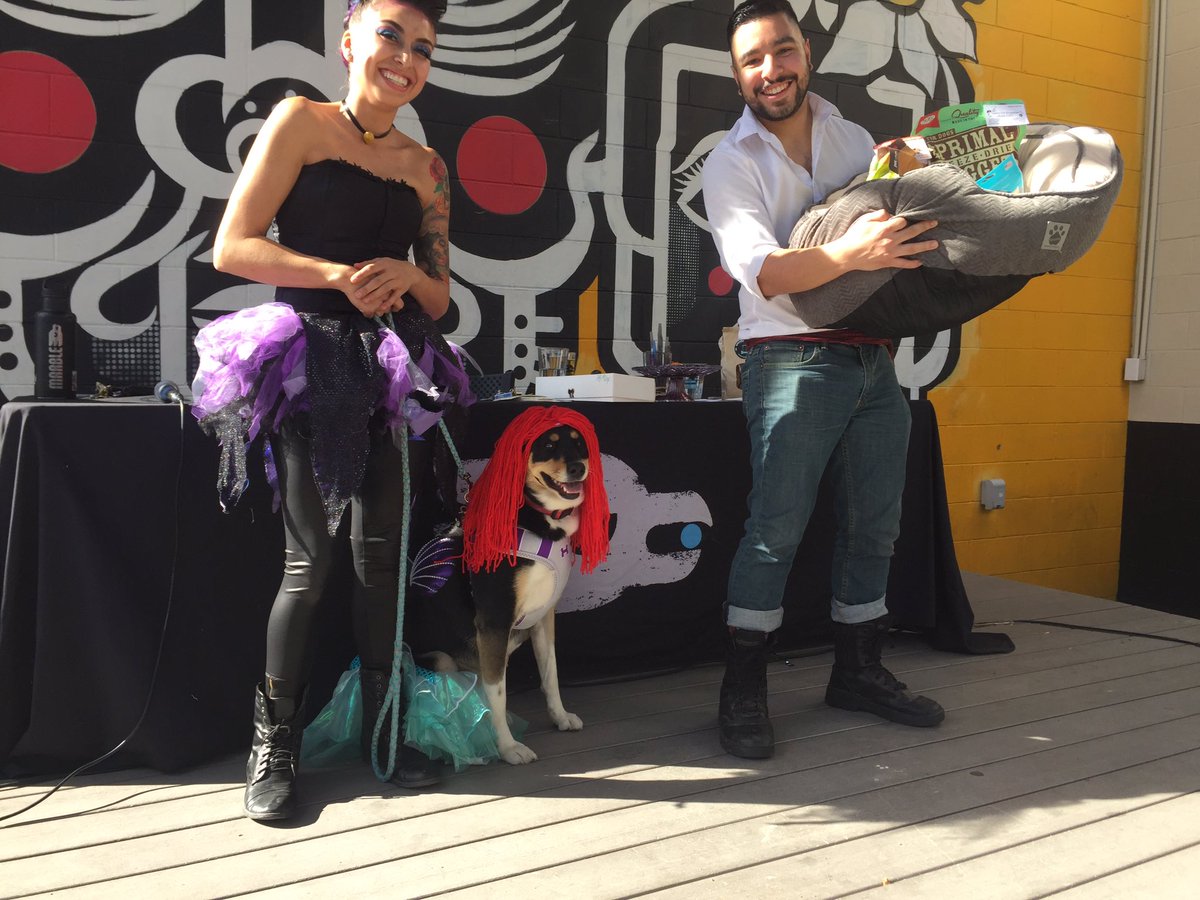 MarbleBrewery's tweet photo. "Ariel"-the winner in our 1st #MuttMasquerade! Today, it's our employee costume contest @ all 3 locations, come cheer on ur beertenders!🎃 https://t.co/MBPUl0Yk7H