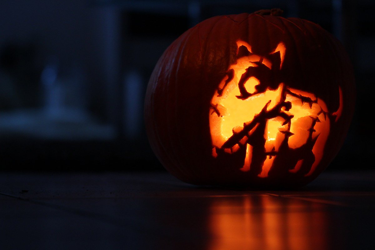 Slaneyside's tweet image. Eleven Top Tips to keep your dog safe tonight #happyhalloween ow.ly/4bMq305HBXI