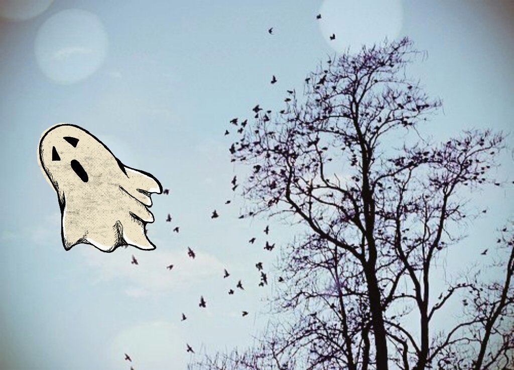 DoceAzulFc's tweet image. Boom dia 💛📹