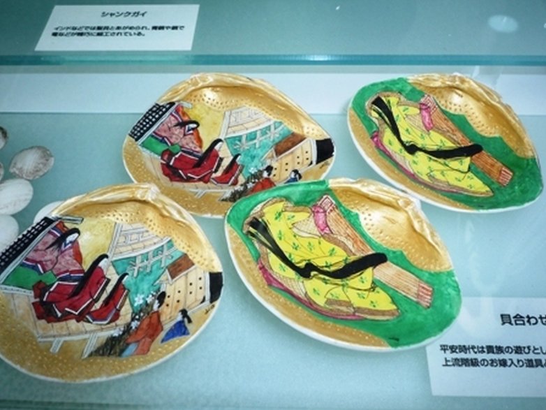 FemoraleShells's tweet image. Video: Nishinomiya Shell Museum (Japan),youtube.com/watch?list=PLu… #shellmuseum #Japan #Nishinomiya #mollusc #NaturalHistory