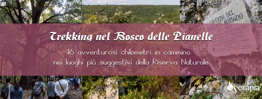 boscopianelle's tweet photo. Trekking nel Bosco delle Pianelle https://t.co/KU0arSOaQJ https://t.co/YLJsThyGCe