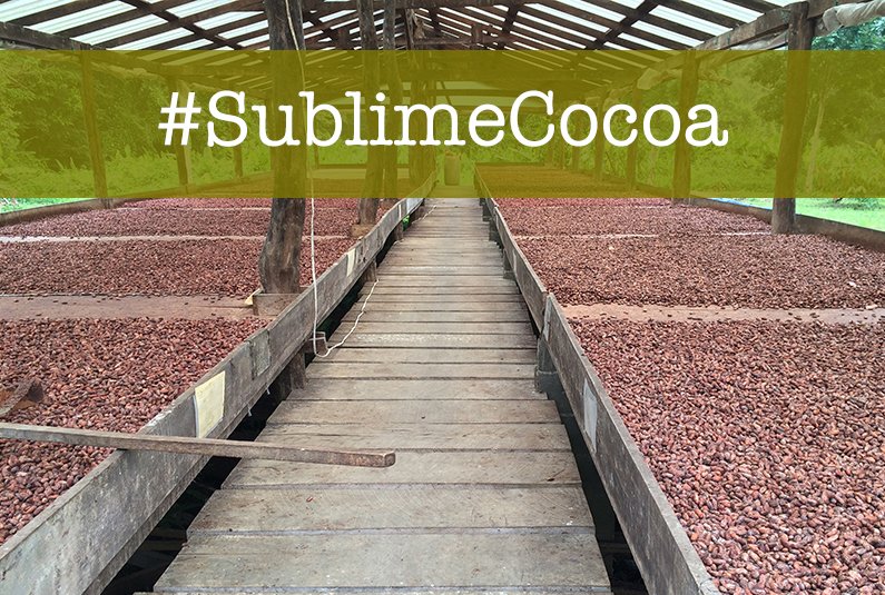 SublimeMagazine's tweet photo. 8 #Chocolate Brands That are Making History https://t.co/7EDgLYze1w #craft #cocoa #sublimecocoa #entrepreneur #fairtrade https://t.co/2Fxa66Wu4E