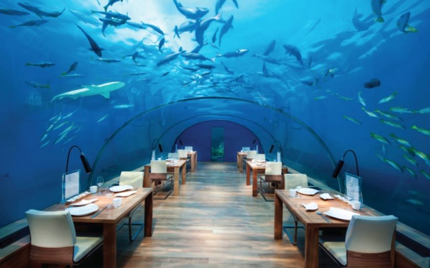 islandsmv's tweet photo. Deep sea dining in the world's first underwater restaurant https://t.co/iN2W3KguZz #Maldives #MV952