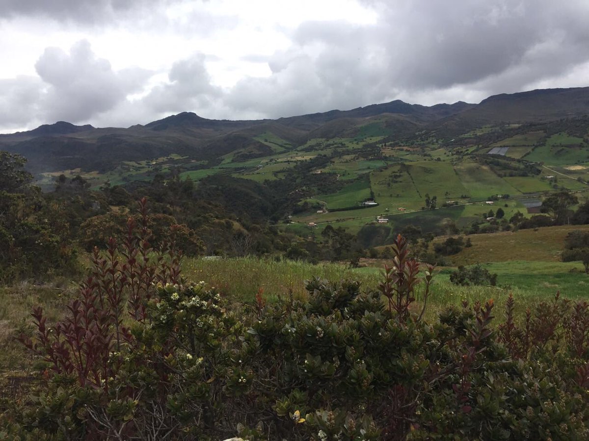 EAtletica's tweet photo. El Maravilloso e Inclemente Páramo los espera #Runners #EnduranceChallengeCol @TheNorthFaceCol @ClubBODYTECH @Running_Col @runnincolombia https://t.co/a4LsvSXWTC