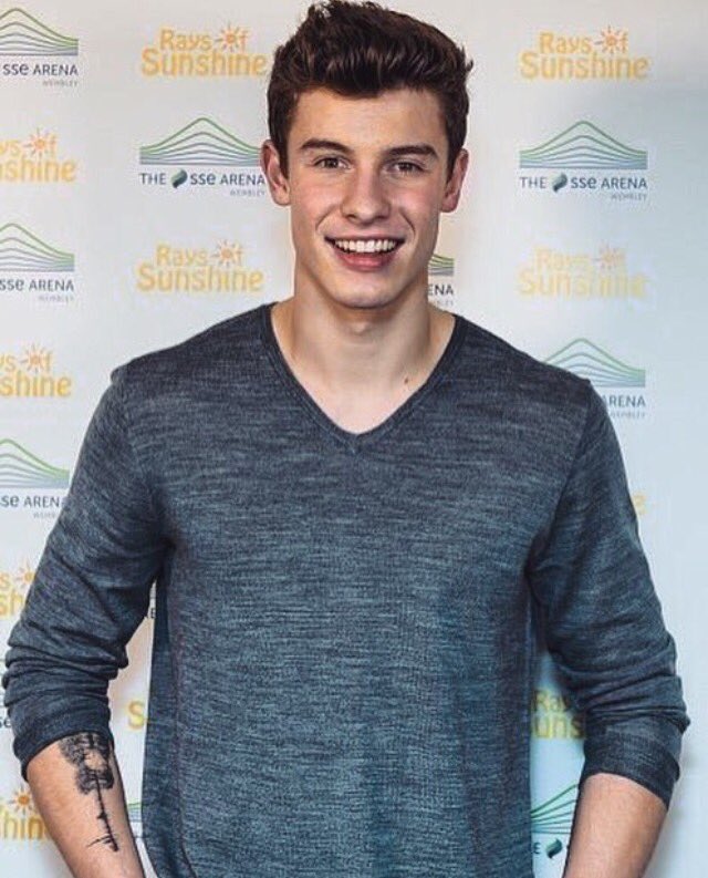 TheTrueMendes's tweet photo. RT if Shawn makes you smile #EMABiggestFansShawnMendes https://t.co/vcIUUFoxPp