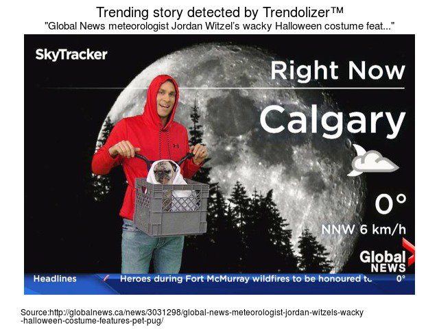 global news meteorologist jordanwitzels wacky halloween costume features pet pug - Meteorologist Halloween Costume global news meteorologist jordanwitzels wacky halloween costume features pet pug - Meteorologist Halloween Costume