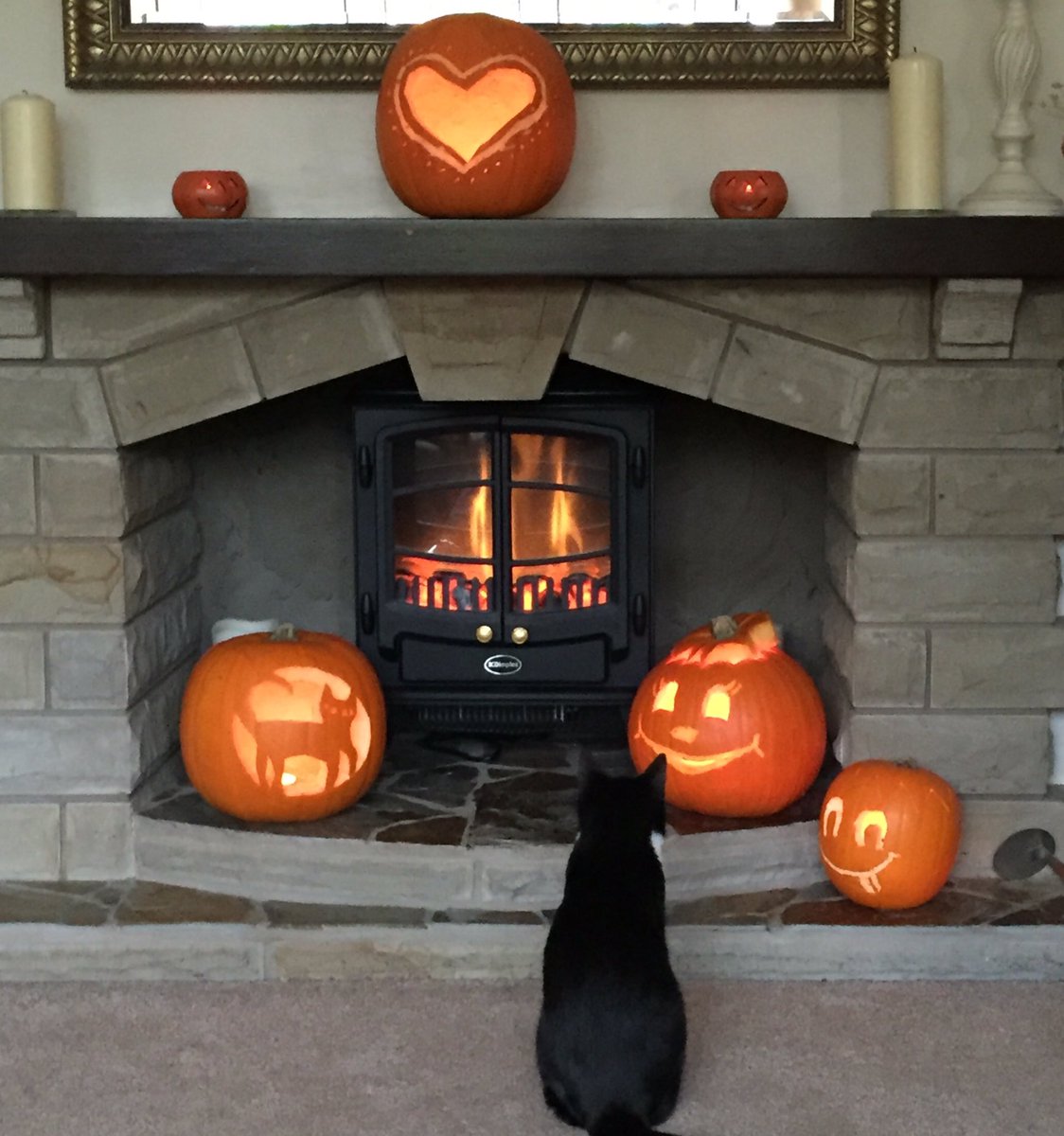 _questionwhy's tweet image. Our cat can&apos;t figure out why he can&apos;t win a stare out competition with these Strange looking folks!
Have a good Halloween