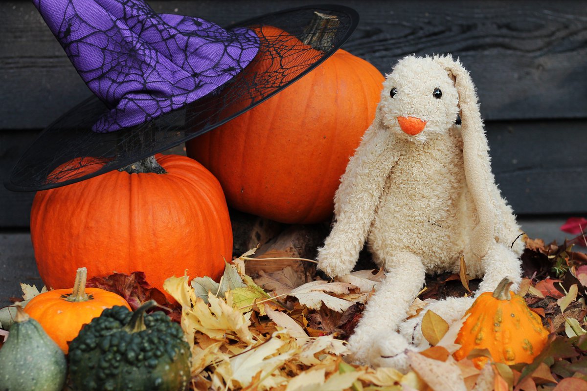 Kinderfonds's tweet image. Happy #Halloween!