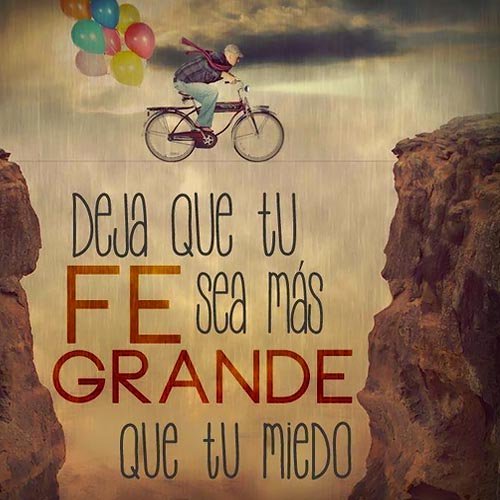 Ver las imágenes de origen