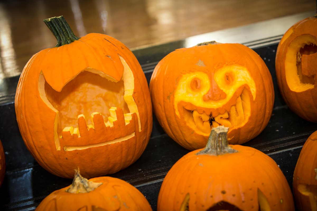 CLE_State's tweet photo. #HappyHalloween, Vikings!
#CLEstate https://t.co/ezTixpiV1W