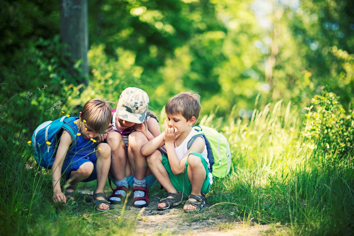 De stembussen zijn gesloten. Iedereen die gestemd heeft: bedankt! Kijk vanavond naar @dwdd voor de bekendmaking van de winnaars. #natuurfan