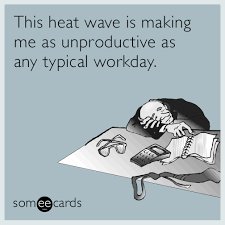 CathyBanda5's tweet photo. Contact us to see which courses are covered online. #illstudywithyou #uct Exam Prep 2016. info@lightbulbeducation.co.za DURING #heatwave https://t.co/Gf9kgo8v4r