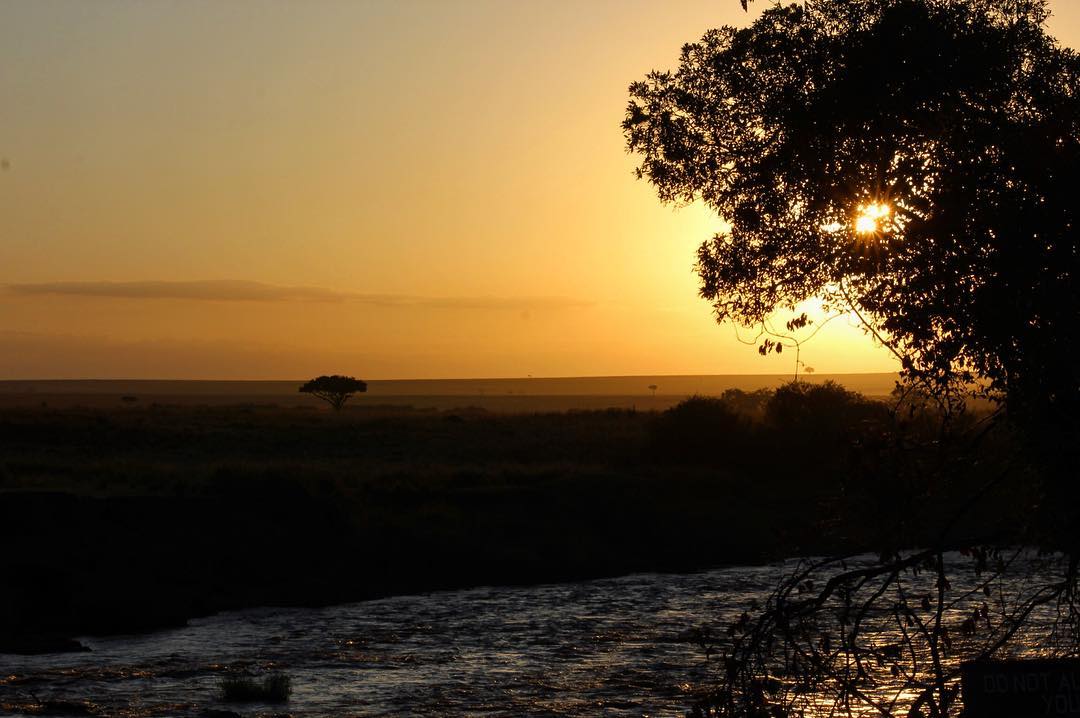 Morning on the Mara river. <a href="/MasaiMara_Kenya/">Maasai Mara Kenya</a> <a href="/Maraways_Tours/">Maraways</a> <a href="/aloboosafaris/">Aloboo Safaris Ltd</a> <a href="/talii_africa/">Guide Ken</a> @Chinkufake <a href="/HeritageKenya/">Heritage Hotels Ltd</a>