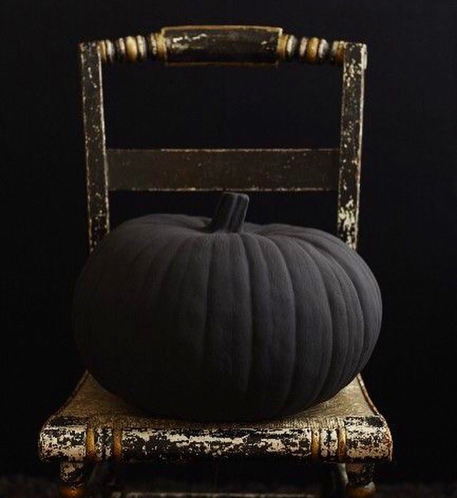 SUCCARRA's tweet photo. May your clothes be black and your pumpkin be lit. #Succarra #HappyHalloween https://t.co/yqyGnniKmL