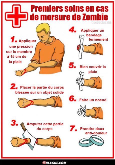 Scarica Gratis Images Robert On Twitter Procedure A Suivre En Cas De Morsure De le plus cool par