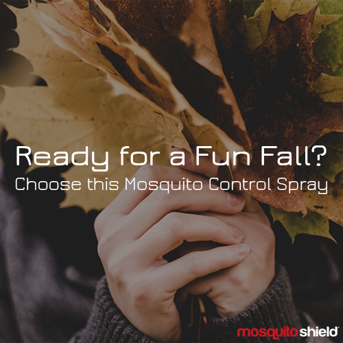 Mosquito Shield tweet media
