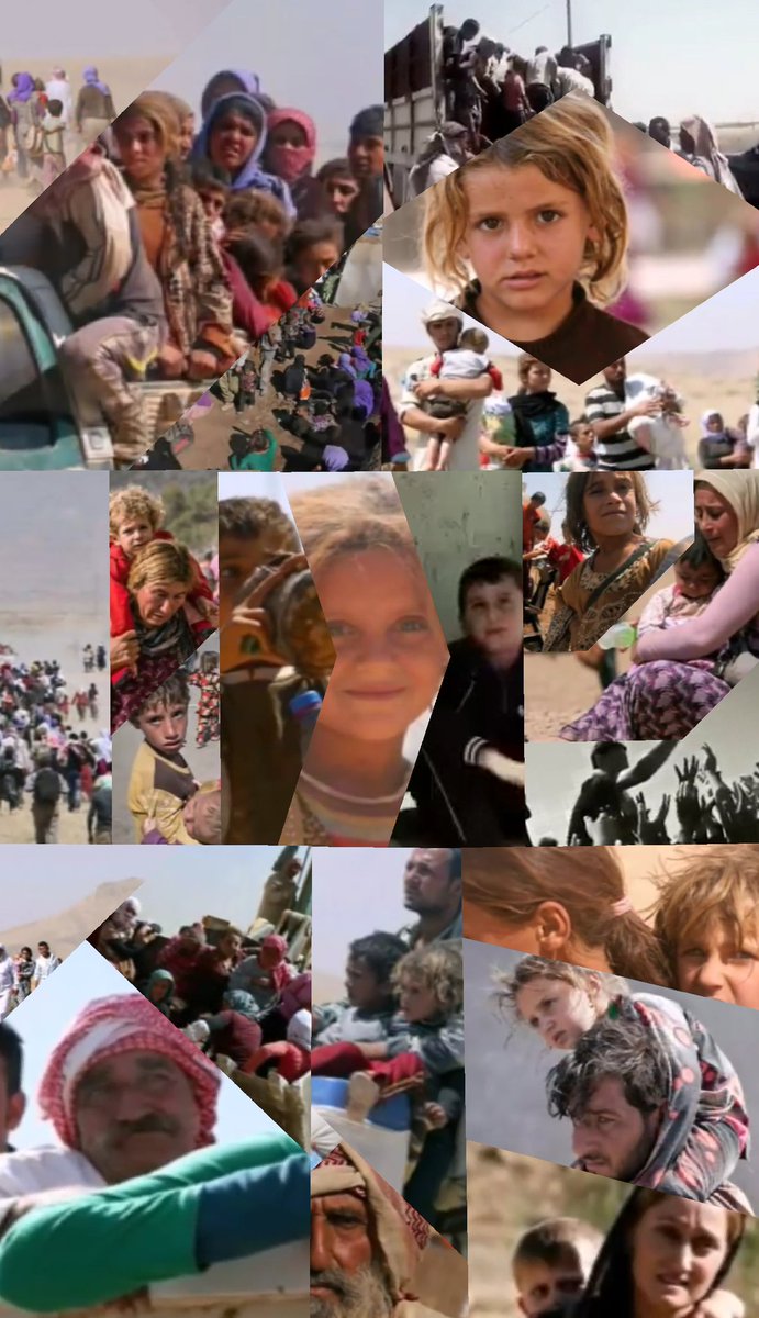 #نعم_Yes
#للهجرة_الجماعية
#mass_migration