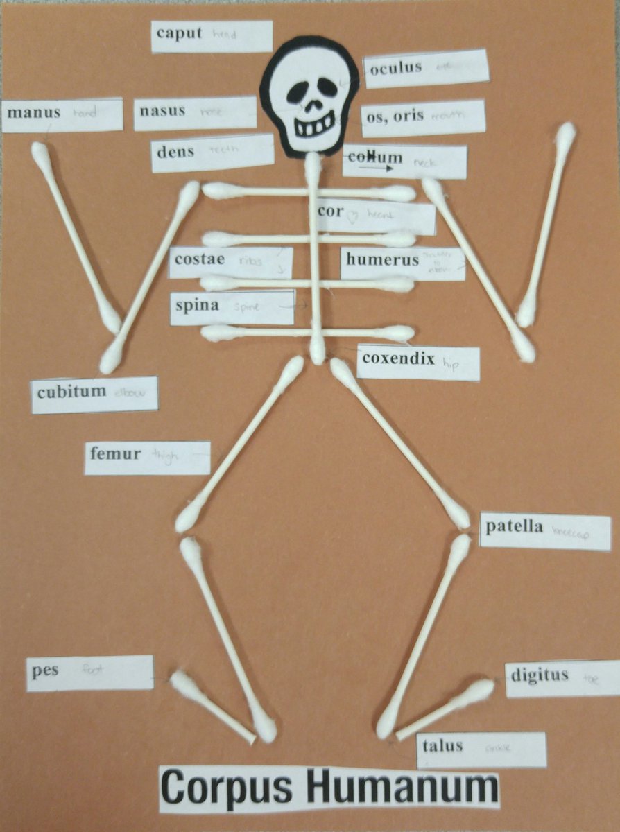 hhslatin's tweet photo. A cross curricular Latin activity for Halloween! #teachgmsd https://t.co/SfSNn4Apoh