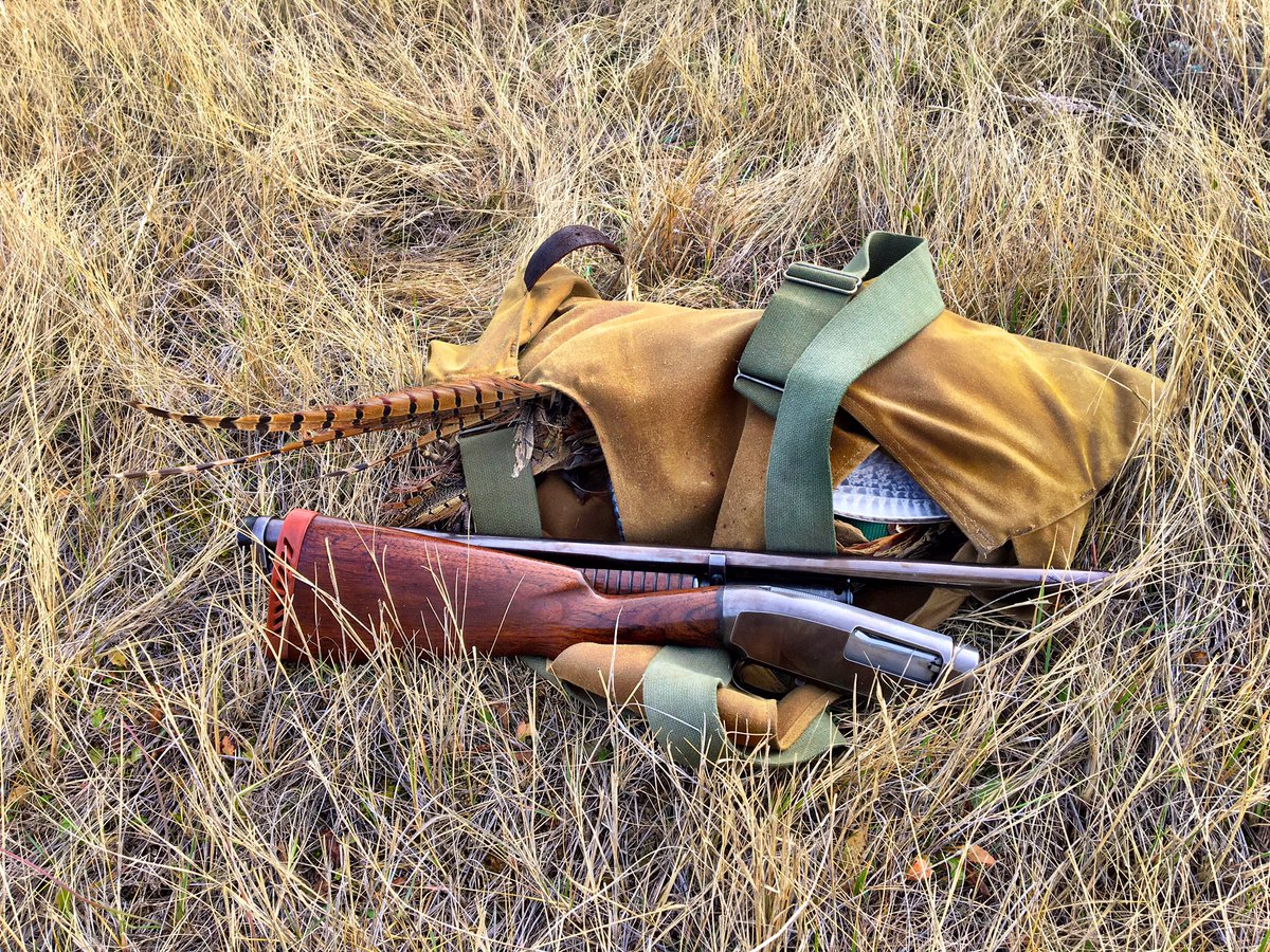 DougManzer's tweet photo. Here's the prairie pheasant kit a friend used to effect - slim 16 in 1912 form w strap vest. #pheasantkit @Norwester https://t.co/hCvuQlDRr9