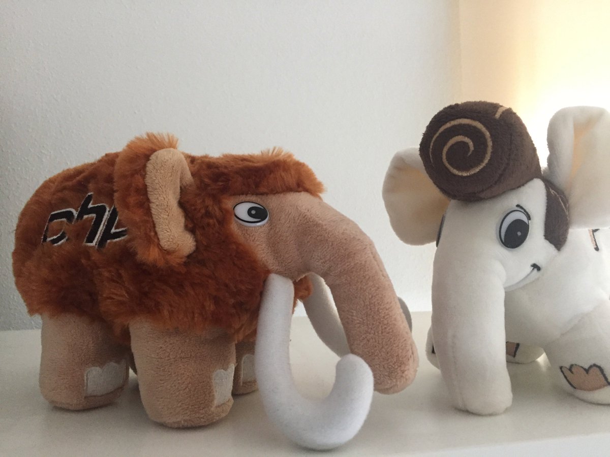 gbtekkie's tweet image. thank you so much @grmpyprogrammer and @Mark_Baker! Elvis from #ZendCon16 now has a best friend