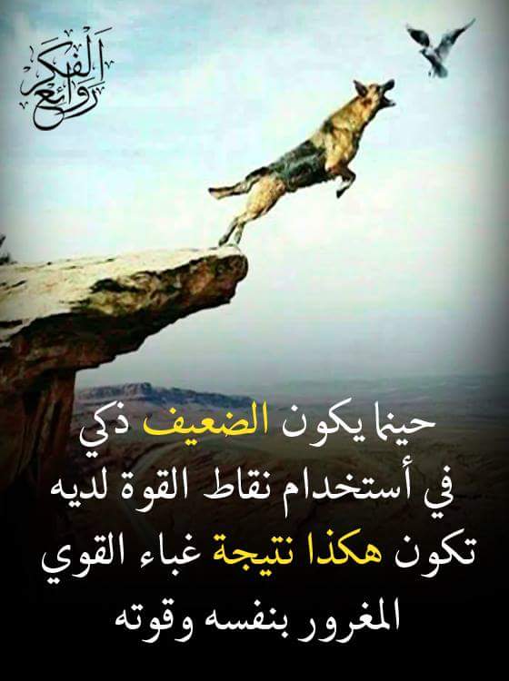 ويبقي الوضع كما هوا عليه