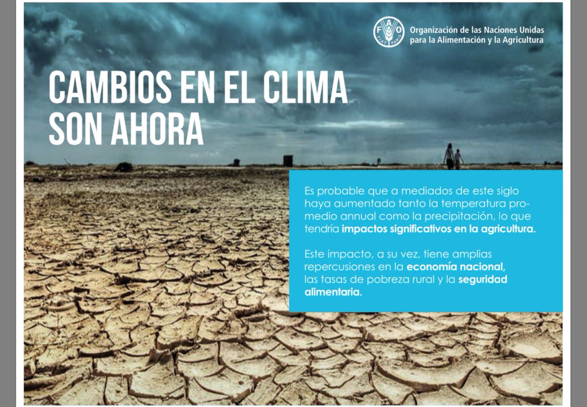 FAO_Colombia's tweet photo. Presentación de nuestro Rep. @Rafael_ZavalaG en Taller Nal Pérdidas&amp;Daños en sector agropecuario #DipechoIX #WFD2016 #CambioClimático https://t.co/vayERCYguw