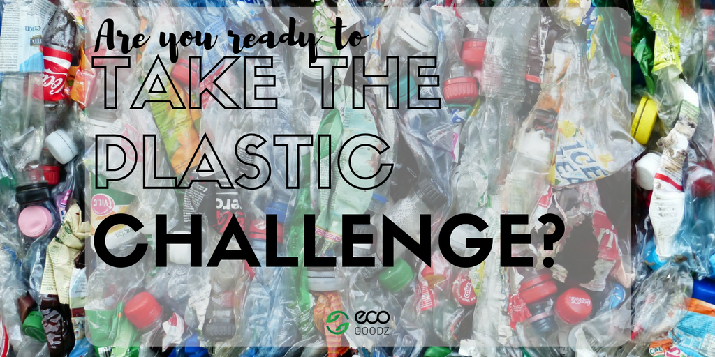 EcoGoodz's tweet photo. Take the plastic purge challenge and rid your life of unnecessary plastics. https://t.co/MULNwawRip #ReduceReuseRecycle #lessplastic https://t.co/NVAYAhRHpk