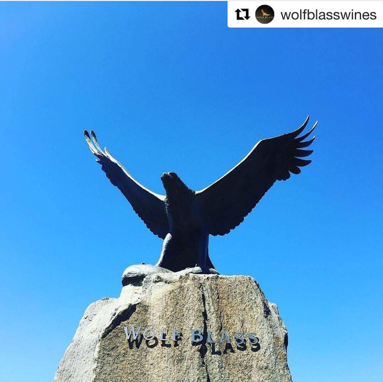 The <a href="/WolfBlassWines/">Wolf Blass Wines</a> #Shiraz is on our list for top affordable wines this festive season. Medium bodied &amp; delicious!