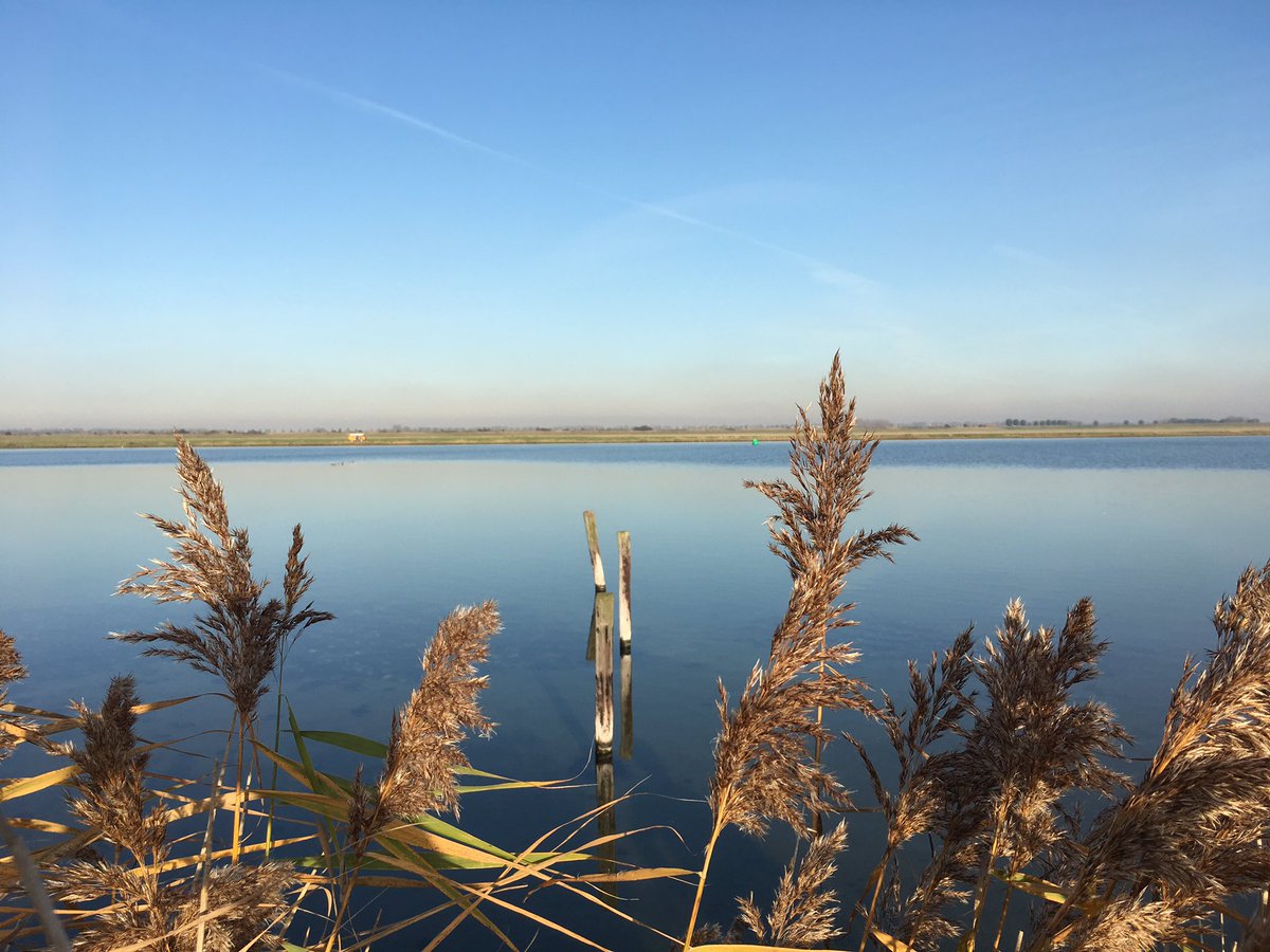 Vlakstil Zeeland ...